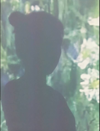 王芃